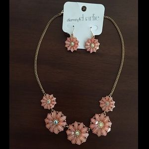 ✨Beautiful Necklace and Earring Set✨